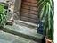 Immagine 7