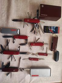coltellini victorinox 