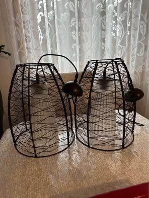 Coppia Lampadari design moderno