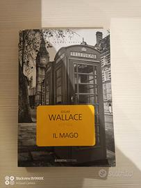 Libro Il mago