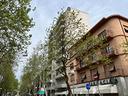 attico-gorizia-centro-storico