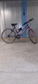 BICICLETTA GTM  DESERT 26'