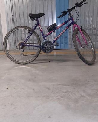 BICICLETTA GTM  DESERT 26'