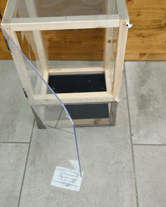 Teca 25 x 25 x40 cm insetti stecco rettili