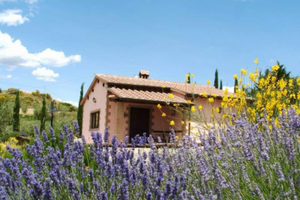 Capodanno in maremma