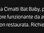Immagine 4