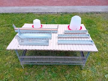 voliera  per piccoli animali