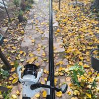 canna importer new spring 4mt nuova