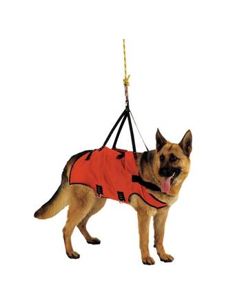 Alp Design Taxi imbragatura per cane soccorso