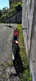 moto trial gas gas