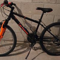 bicicletta 