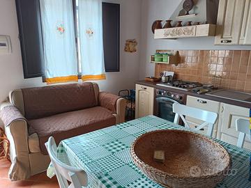 Vicino la città