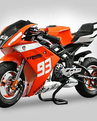 Mini moto elettrica Eco Tribo 1060W COME NUOVA