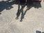 Immagine 15
