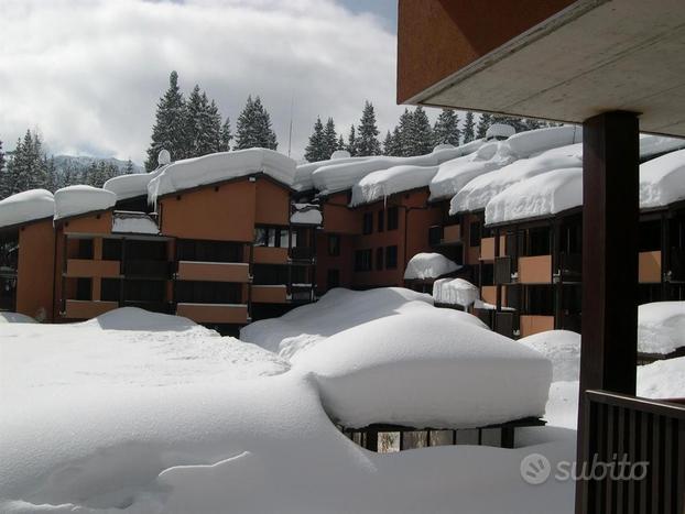 Madonna di campiglio multiproprietà buon prezzo