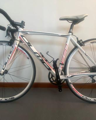 Bicicletta olmo