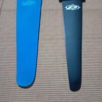 pinna fin windsurf 