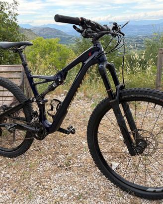 specialized