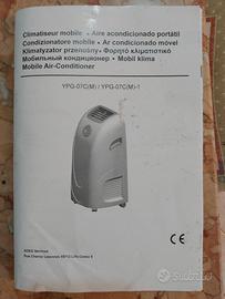 Climatizzatore su ruote