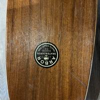 Longboard Arbor pintail