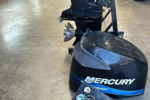 MERCURY (Yamaha...) 225 CV  / 4 T pronto all'uso