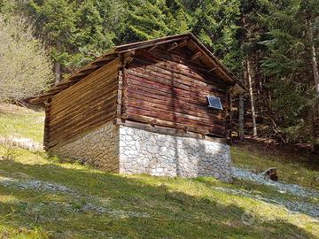 Rustico Fienile Baita Cadore Dolomiti bosco