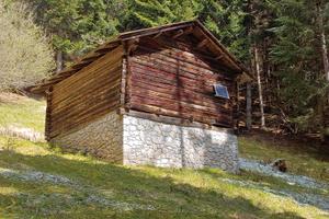 Rustico Fienile Baita Cadore Dolomiti bosco
