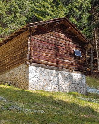 Rustico Fienile Baita Cadore Dolomiti bosco