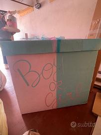 Scatola gender reveal
