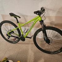 Bici Head X-Rubi 29 da Montagna  Alivio