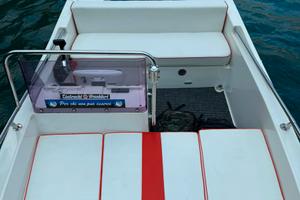 Barca sea red 460