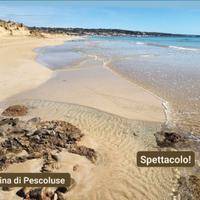 Casa Verdi Pescoluse a 100 metri dal mare