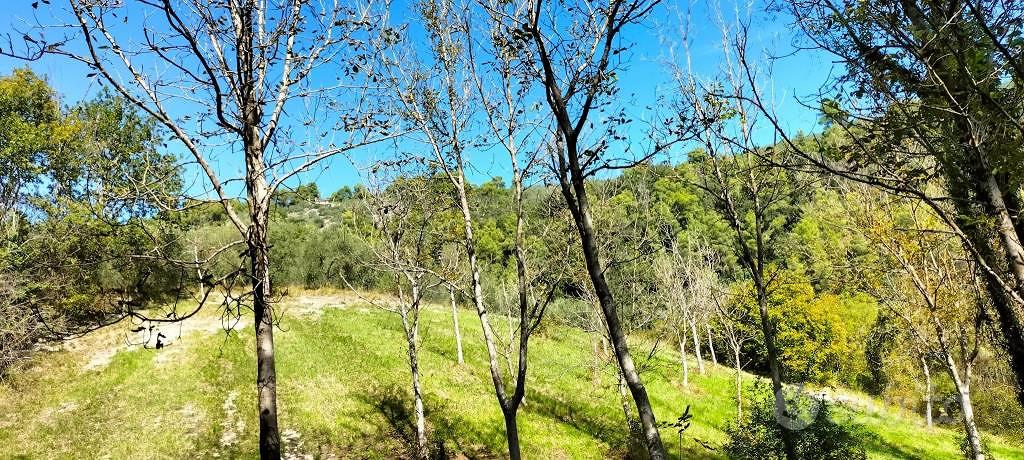 Terreno di 40000 m² a Arrone - Vista 5
