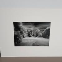 Fotografia Infrarosso Paesaggio Natura