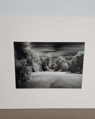 Fotografia Infrarosso Paesaggio Natura