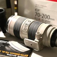 Canon EF 70-200mm f/2.8 L IS USM