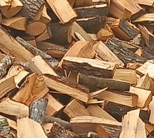 Legna da ardere secca