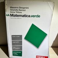 ZANICHELLI Matematica.verde 4A