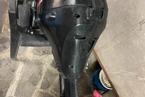 Suzuki 9.9 cavalli 4 tempi