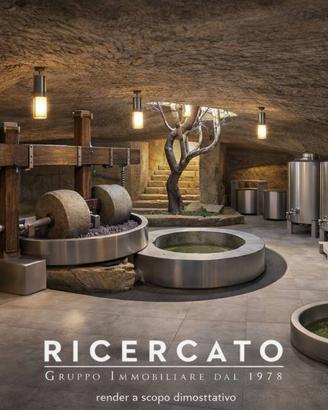 Rustico / Casale di 500 m² con più di 5 locali a V