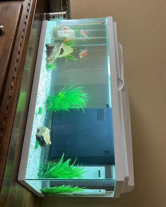 Acquario 80 L