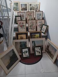 Quadri Vintage Stampe Botaniche e Paesaggi