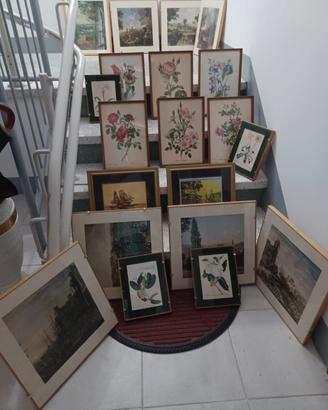 Quadri Vintage Stampe Botaniche e Paesaggi