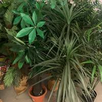 Piante finte da decorazione