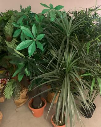 Piante finte da decorazione