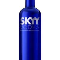 Skyy Vodka 1L