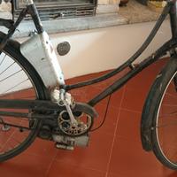 biciclette a motore
