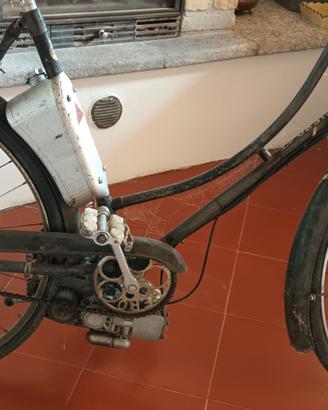 biciclette a motore