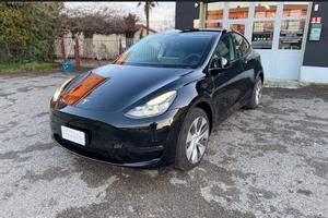 Tesla Model Y Maximum Range / Premium #9286