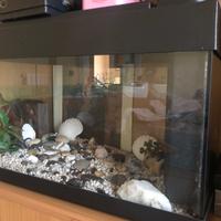 Acquario completo
